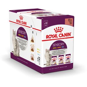 12x85g Sensory Smell Taste Feel in Saus Royal Canin Kattenvoer 12x85g Sensory Smell Taste Feel in Saus Royal Canin Kattenvoer