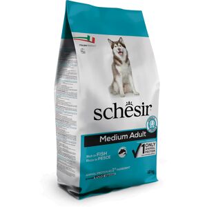 12 kg Schesir Dog Dry Medium/Large Maintenance Fish Droog Hondenvoer 12 kg Schesir Dog Dry Medium/Large Maintenance Fish Droog Hondenvoer