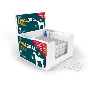 Hyaloral grote & zeer grote rassen - 360 tabletten Hyaloral grote & zeer grote rassen - 360 tabletten