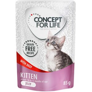 Concept for Life Kitten rund graanvrij – in gelei Kattenvoer - 24 x 85 g Concept for Life Kitten rund graanvrij – in gelei Kattenvoer - 24 x 85 g