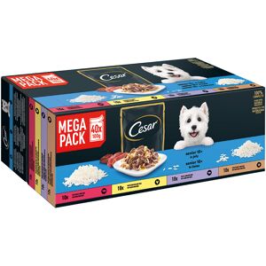 40 x 100 g Cesar portiezakjes in gelei Senior 10+ natvoer voor honden 40 x 100 g Cesar portiezakjes in gelei Senior 10+ natvoer voor honden