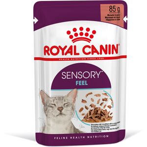 12x 85g Royal Canin Sensory Feel in Saus Nat Kattenvoer 12x 85g Royal Canin Sensory Feel in Saus Nat Kattenvoer
