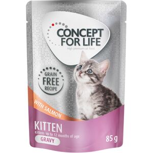 Concept for Life Kitten zalm graanvrij - in saus Kattenvoer - 24 x 85 g Concept for Life Kitten zalm graanvrij - in saus Kattenvoer - 24 x 85 g