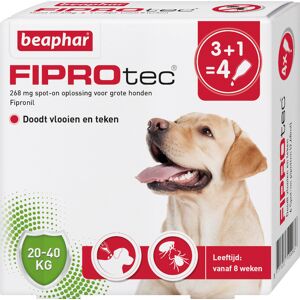 Beaphar FiproTec Hond 20-40kg (NL) 4 Pipetten x 2,68 ml (APO) Beaphar FiproTec Hond 20-40kg (NL) 4 Pipetten x 2,68 ml (APO)