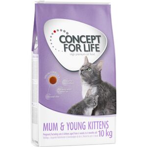 Concept for Life Mum & Young Kittens - Verbeterde receptuur! - 10 kg Concept for Life Mum & Young Kittens - Verbeterde receptuur! - 10 kg