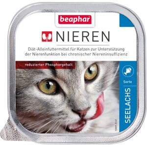 12x100g Nierdieet Koolvis Beaphar Kattenvoer 12x100g Nierdieet Koolvis Beaphar Kattenvoer