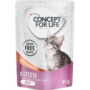 Concept for Life Kitten zalm graanvrij - in gelei Kattenvoer - 24 x 85 g Concept for Life Kitten zalm graanvrij - in gelei Kattenvoer - 24 x 85 g