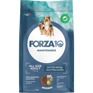 Forza10 Maintenance Dog 12 kg Forza 10 All Breeds Maintenance Vis & Rijst Hondenvoer Forza10 Maintenance Dog 12 kg Forza 10 All Breeds Maintenance Vis & Rijst Hondenvoer