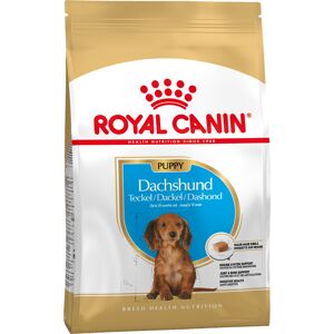 1,5kg Teckel Puppy Royal Canin Breed Hondenvoer 1,5kg Teckel Puppy Royal Canin Breed Hondenvoer