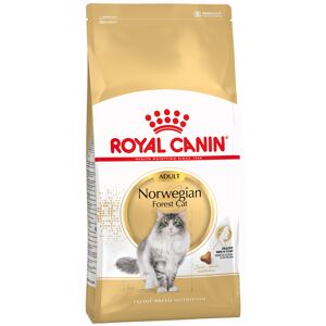 Royal Canin Breed 2kg Noorse Boskat Adult Royal Canin Kattenvoer Royal Canin Breed 2kg Noorse Boskat Adult Royal Canin Kattenvoer