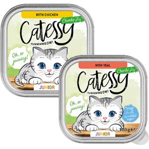 32x 100g Catessy Junior Hapjes in Saus Mix (2 soorten) nat kattenvoer 32x 100g Catessy Junior Hapjes in Saus Mix (2 soorten) nat kattenvoer