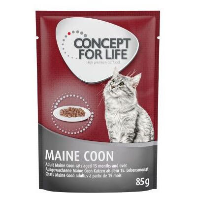 24x85g Maine Coon Adult (Ragout-Kwaliteit) Concept for Life Kattenvoer 24x85g Maine Coon Adult (Ragout-Kwaliteit) Concept for Life Kattenvoer