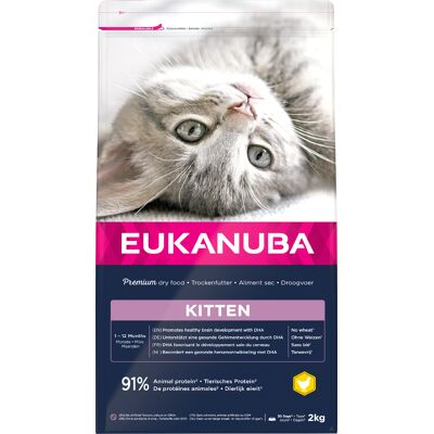 2kg Healthy Start Kitten Eukanuba Kattenvoer 2kg Healthy Start Kitten Eukanuba Kattenvoer