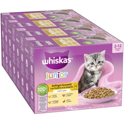 48 x 85 g Gevogelte-selectie in gelei Junior Whiskas Kattenvoer 48 x 85 g Gevogelte-selectie in gelei Junior Whiskas Kattenvoer