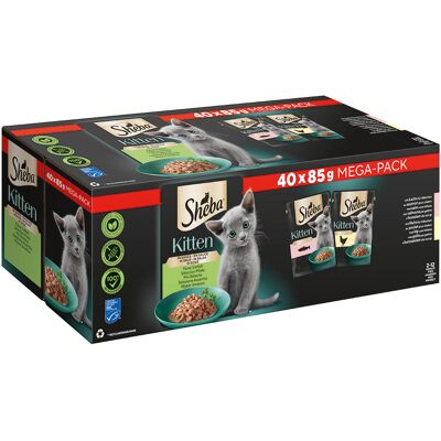 40 x 85 g Sheba Kitten soorten Maaltijdzakjes Fijne afwisseling in saus (zalm, kip) nat kattenvoer 40 x 85 g Sheba Kitten soorten Maaltijdzakjes Fijne afwisseling in saus (zalm, kip) nat kattenvoer