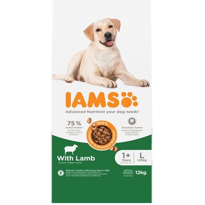 12kg IAMS Advanced Nutrition Adult Large Dog met lam droogvoer voor honden 12kg IAMS Advanced Nutrition Adult Large Dog met lam droogvoer voor honden