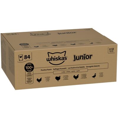 84x85g Gevogelte selectie in gelei Whiskas Junior zakjes natvoer voor katten 84x85g Gevogelte selectie in gelei Whiskas Junior zakjes natvoer voor katten