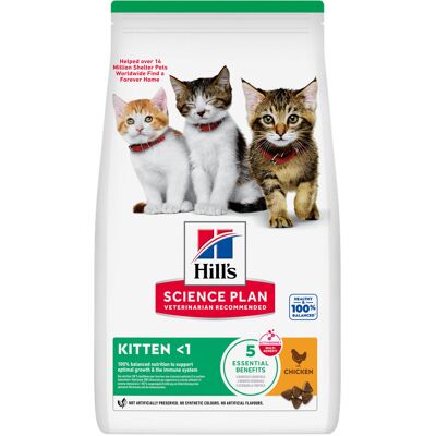 1,5kg Kitten Healthy Development Kip Hill's Science Plan Kattenvoer 1,5kg Kitten Healthy Development Kip Hill's Science Plan Kattenvoer