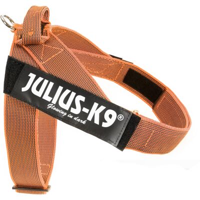 Julius-K9 IDC® Color & Grijs tuig, maat oranje/grijs XL/2: Borstomtrek 71-96cm voor honden Julius-K9 IDC® Color & Grijs tuig, maat oranje/grijs XL/2: Borstomtrek 71-96cm voor honden