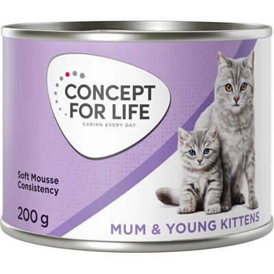 Concept for Life Mama & Jonge Kittens Mousse - Nieuw Receptuur: Voordeelpakket 24 x 200 g Concept for Life Mama & Jonge Kittens Mousse - Nieuw Receptuur: Voordeelpakket 24 x 200 g