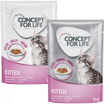 Gemengd Voordeelpakket Concept for Life Gelei & Saus 24 x 85 g Kattenvoer - Kitten in Saus en Gelei Gemengd Voordeelpakket Concept for Life Gelei & Saus 24 x 85 g Kattenvoer - Kitten in Saus en Gelei