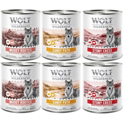 Wolf of Wilderness Senior “Expedition” 6 x 800 g - Mixpakket Wolf of Wilderness Senior “Expedition” 6 x 800 g - Mixpakket