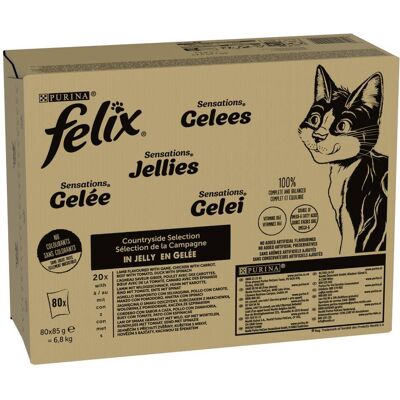80x85g Sensations Countryside (4 Soorten) Felix Zo Goed Als Het Eruit Ziet Kattenvoer 80x85g Sensations Countryside (4 Soorten) Felix Zo Goed Als Het Eruit Ziet Kattenvoer