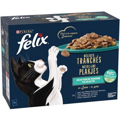 3 + 1 gratis! Felix natvoer voor katten - Heerlijke Plakjes Ocean-selectie in gelei 48 x 80 g 3 + 1 gratis! Felix natvoer voor katten - Heerlijke Plakjes Ocean-selectie in gelei 48 x 80 g