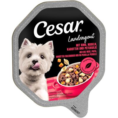Megapack Cesar kuipjes 28 x 150 g - Landstoofpotje met rundvlees, noedels en wortelen Megapack Cesar kuipjes 28 x 150 g - Landstoofpotje met rundvlees, noedels en wortelen