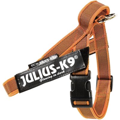Julius-K9 IDC® Color & Grijs tuig, maat oranje/grijs S/Mini: Borstomtrek 49-67cm voor honden Julius-K9 IDC® Color & Grijs tuig, maat oranje/grijs S/Mini: Borstomtrek 49-67cm voor honden