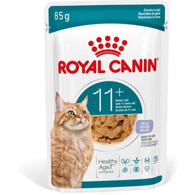12x85g Royal Canin Ageing 11+ in gelei natvoer voor katten 12x85g Royal Canin Ageing 11+ in gelei natvoer voor katten
