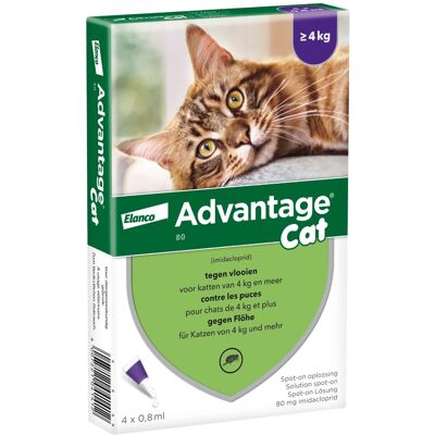 4 Pipetten Advantage 80 voor katten vanaf 4kg - BE 4 Pipetten Advantage 80 voor katten vanaf 4kg - BE