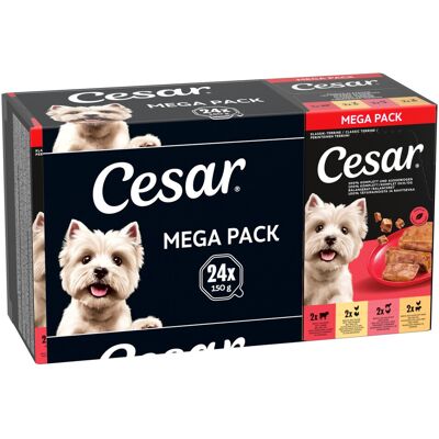 24 x 150 g Classic Terrine Megapak Cesar Hondenvoer 24 x 150 g Classic Terrine Megapak Cesar Hondenvoer