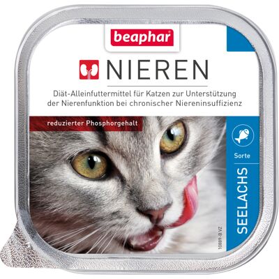 12x100g Nierdieet Koolvis Beaphar Kattenvoer 12x100g Nierdieet Koolvis Beaphar Kattenvoer