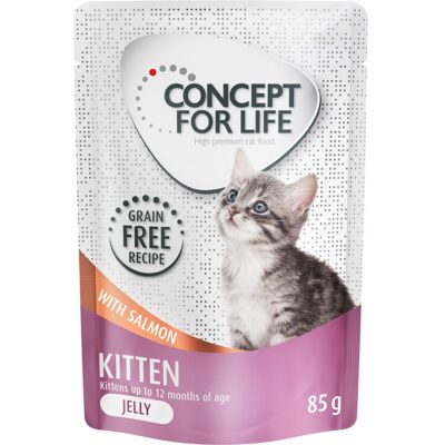 Concept for Life Kitten zalm graanvrij - in gelei Kattenvoer - 24 x 85 g Concept for Life Kitten zalm graanvrij - in gelei Kattenvoer - 24 x 85 g