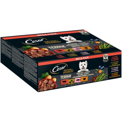 24x 100 g Cesar Natural Goodness Graanvrij met Superfoods Terrine Mix (gevogelte, kalkoen, rund, zalm) natvoer voor honden 24x 100 g Cesar Natural Goodness Graanvrij met Superfoods Terrine Mix (gevogelte, kalkoen, rund, zalm) natvoer voor honden