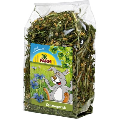 2x500g JR Farm Smalle Weegbree Ruwvoer voor Knaagdieren 2x500g JR Farm Smalle Weegbree Ruwvoer voor Knaagdieren