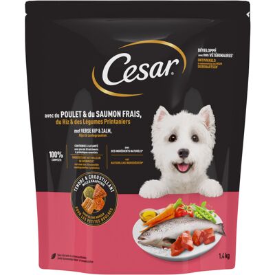 Voordeelpakket: 5x1,4kg Cesar Adult met kip, zalm en groenten droogvoer voor honden Voordeelpakket: 5x1,4kg Cesar Adult met kip, zalm en groenten droogvoer voor honden