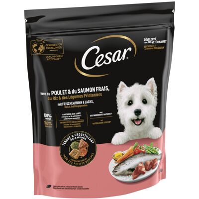 Voordeelpakket: 5x1,4kg Cesar Adult met kip, zalm en groenten droogvoer voor honden Voordeelpakket: 5x1,4kg Cesar Adult met kip, zalm en groenten droogvoer voor honden