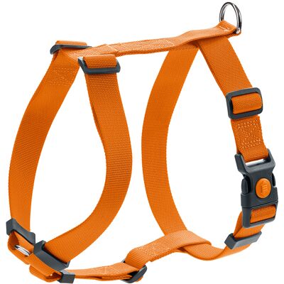 HUNTER Set: Tuig London Vario Rapid M + riem London 200cm/15mm, oranje HUNTER Set: Tuig London Vario Rapid M + riem London 200cm/15mm, oranje
