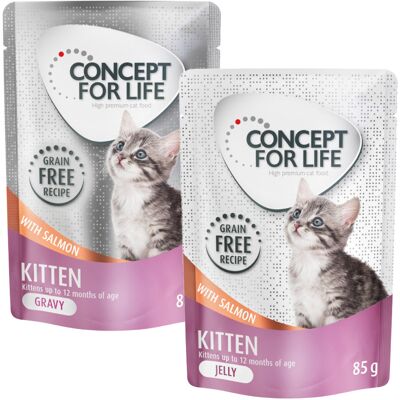 Gemengd Voordeelpakket Concept for Life Gelei & Saus graanvrij 24 x 85 g Kattenvoer - Kitten Zalm in Saus & Gelei Gemengd Voordeelpakket Concept for Life Gelei & Saus graanvrij 24 x 85 g Kattenvoer - Kitten Zalm in Saus & Gelei