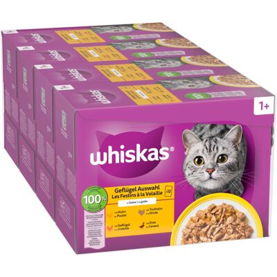 48x85g 1+ Adult Gevogelte-selectie in Gelei Whiskas Kattenvoer Maaltijdzakjes 48x85g 1+ Adult Gevogelte-selectie in Gelei Whiskas Kattenvoer Maaltijdzakjes