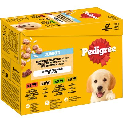 Pedigree Junior vershoudzakjes multipack - Voordeelpakket: 96 x 100 g Gemengde selectie in gelei (4 variëteiten) Pedigree Junior vershoudzakjes multipack - Voordeelpakket: 96 x 100 g Gemengde selectie in gelei (4 variëteiten)