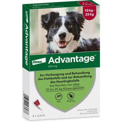 Advantage® 250 4 Pipetten voor honden van 10kg tot minder dan 25kg - NL Advantage® 250 4 Pipetten voor honden van 10kg tot minder dan 25kg - NL