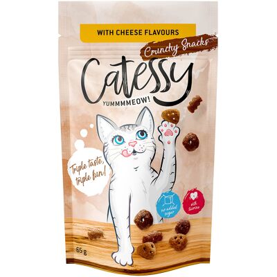 Voordeelpakket Catessy Knapperige Snacks 15 x 65 g - met Kaassmaak Voordeelpakket Catessy Knapperige Snacks 15 x 65 g - met Kaassmaak