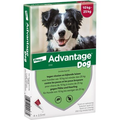 Advantage® 250 4 Pipetten voor honden van 10kg tot minder dan 25kg - BE Advantage® 250 4 Pipetten voor honden van 10kg tot minder dan 25kg - BE