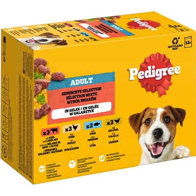 Pedigree Maaltijdzakjes Multipack - Voordeelpakket: Gemengde selectie in gelei (4 soorten) 48 x 100 g Pedigree Maaltijdzakjes Multipack - Voordeelpakket: Gemengde selectie in gelei (4 soorten) 48 x 100 g
