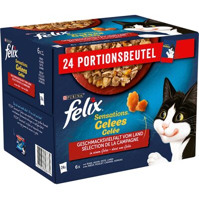 96x85g Vlees Selectie Felix Sensations Kattenvoer 96x85g Vlees Selectie Felix Sensations Kattenvoer