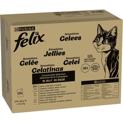 120x85g Variatie v/h Land Felix "Sensations" Maaltijdzakjes Kattenvoer 120x85g Variatie v/h Land Felix "Sensations" Maaltijdzakjes Kattenvoer