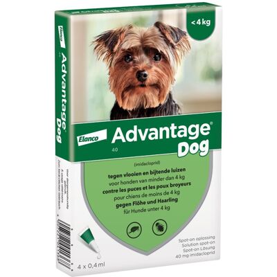Advantage 40 voor honden van minder dan 4 kg 4 Pipetten - BE Advantage 40 voor honden van minder dan 4 kg 4 Pipetten - BE